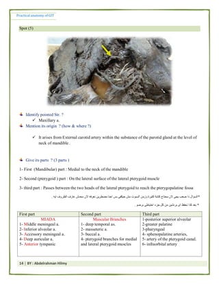 Practical anatomy of the git by abd el rahman helmy | PDF