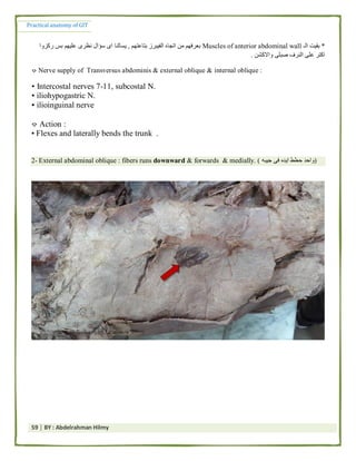 Practical anatomy of the git by abd el rahman helmy | PDF