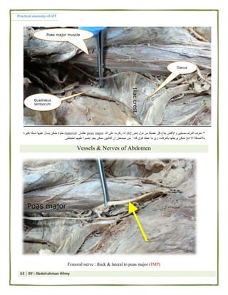 Practical anatomy of the git by abd el rahman helmy | PDF