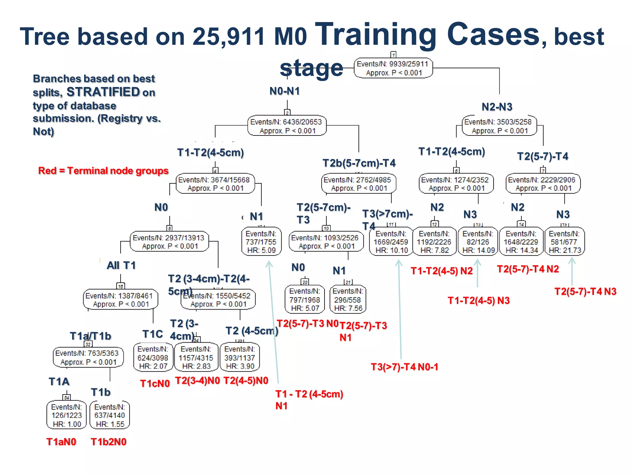 N0-N1
N2-N3
T2b(5-7cm)-T4
T1-T2(4-5cm)
N0
N1
All T1
T2 (3-4cm)-T2(4-
5cm)
T1a/T1b T1C
T1aN0 T1b2N0
T1A
T1b
T1cN0 T2(4-5)N0T2(3-4)N0
T2(5-7cm)-
T3
T2(5-7)-T3
N1
N0 N1
T3(>7)-T4 N0-1
T1-T2(4-5cm) T2(5-7)-T4
N2
N3
N2
N3
T2(5-7)-T4 N3
T2(5-7)-T4 N2T1-T2(4-5) N2
T1-T2(4-5) N3
T3(>7cm)-
T4
T2 (3-
4cm)
T2 (4-5cm)
T2(5-7)-T3 N0
T1 - T2 (4-5cm)
N1
Tree based on 25,911 M0 Training Cases, best
stageBranches based on best
splits, STRATIFIED on
type of database
submission. (Registry vs.
Not)
Red = Terminal node groups
 