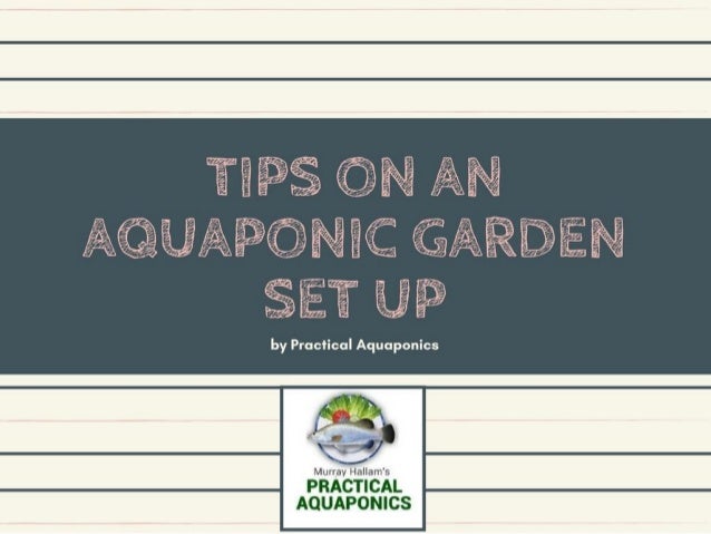 practical aquaponics - tips on an aquaponic garden set up