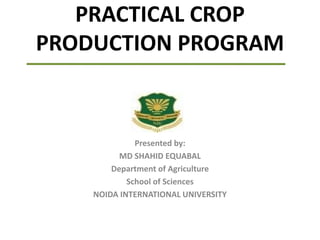 PRACTICAL CROP
PRODUCTION PROGRAM
Presented by:
MD SHAHID EQUABAL
Department of Agriculture
School of Sciences
NOIDA INTERNATIONAL UNIVERSITY
 