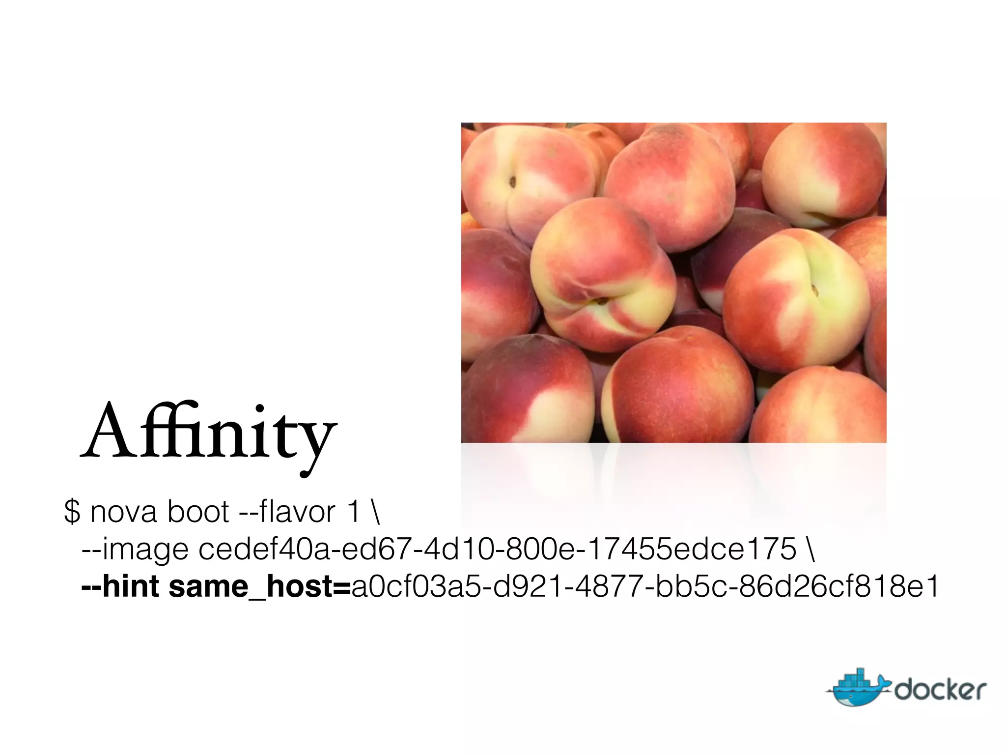 $ nova boot --ﬂavor 1 
--image cedef40a-ed67-4d10-800e-17455edce175 
--hint same_host=a0cf03a5-d921-4877-bb5c-86d26cf818e1
 
Aﬃnity
 