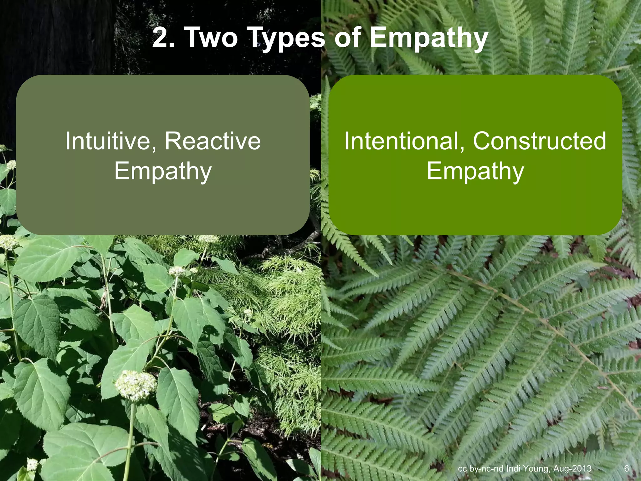 cc by-nc-nd Indi Young, Aug-2013 6
Intuitive, Reactive
Empathy
Intentional, Constructed
Empathy
2. Two Types of Empathy
 