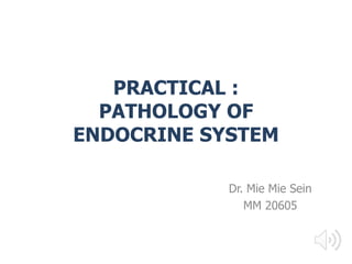 PRACTICAL :
PATHOLOGY OF
ENDOCRINE SYSTEM
Dr. Mie Mie Sein
MM 20605
 