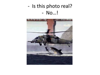 - Is this photo real?
- No…!
 