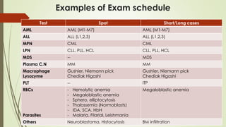 Examples of Exam schedule
Short/Long cases
Spot
Test
AML (M1-M7)
AML (M1-M7)
AML
ALL (L1,2,3)
ALL (L1,2,3)
ALL
CML
CML
MPN
CLL, PLL, HCL
CLL, PLL, HCL
LPN
MDS
--
MDS
MM
MM
Plasma C.N
Gushier, Niemann pick
Chediak Higashi
Gushier, Niemann pick
Chediak Higashi
Macrophage
Lysozyme
ITP
--
PLT
Megaloblastic anemia
- Hemolytic anemia
- Megaloblastic anemia
- Sphero, elliptocytosis
- Thalassemia (Normoblasts)
- IDA, SCA, HbH
- Malaria, Filarial, Leishmania
RBCs
Parasites
BM infiltration
Neuroblastoma, Histocytosis
Others
 