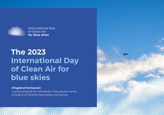 Clean Air Guide | PDF