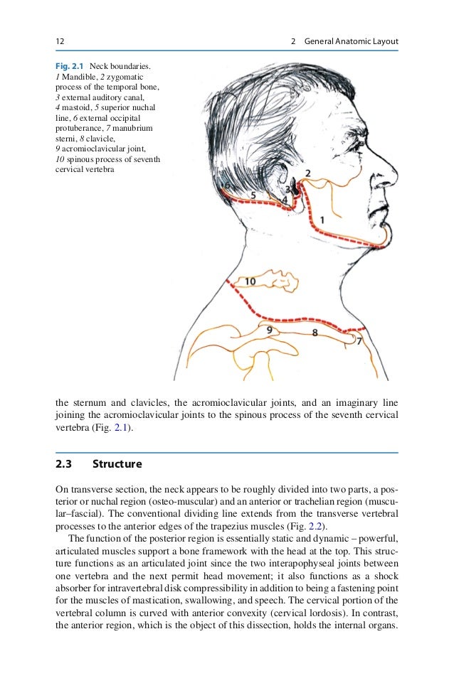Practical guide to neck dissection