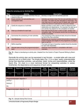 Practical Guide to Programme/Project Design | PDF