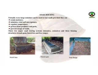 Practical guide to snail farming | PDF