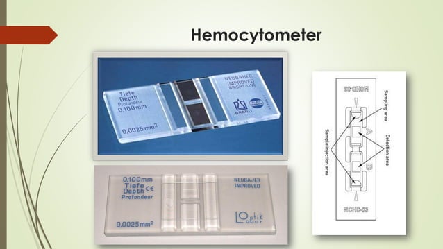 Cbc Measurement Flow Chart.pdf Practical Hematology l 01 Manual CBC.pdf