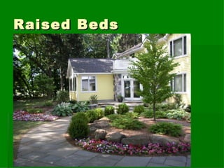 Raised Beds 