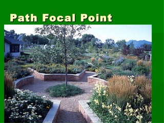 Path Focal Point 