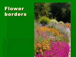 Flower borders 