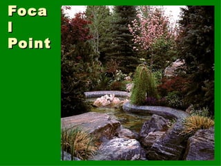 Focal Point 