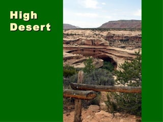 High Desert 