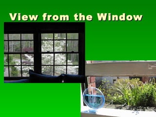 View from the Window 