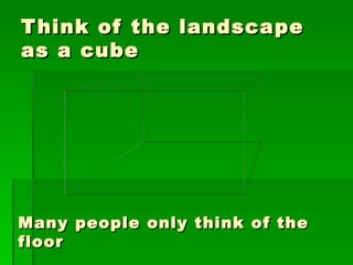 Think of the landscape as a cube Many people only think of the floor 