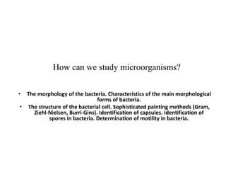 How can we study microorganisms?
• The morphology of the bacteria. Characteristics of the main morphological
forms of bacteria.
• The structure of the bacterial cell. Sophisticated painting methods (Gram,
Ziehl-Nielsen, Burri-Gins). Identification of capsules. Identification of
spores in bacteria. Determination of motility in bacteria.
 