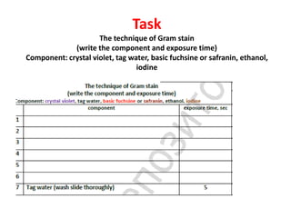 Task
The technique of Gram stain
(write the component and exposure time)
Component: crystal violet, tag water, basic fuchsine or safranin, ethanol,
iodine
 