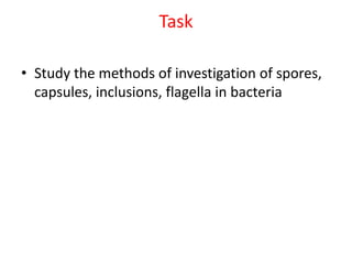Task
• Study the methods of investigation of spores,
capsules, inclusions, flagella in bacteria
 