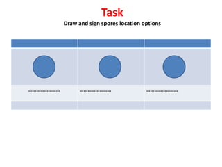 Task
Draw and sign spores location options
…………………… …………………… ……………………
 