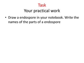 Task
Your practical work
• Draw a endospore in your notebook. Write the
names of the parts of a endospore
 
