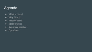 Agenda
● What is Linux?
● Why Linux?
● Practice time!
● More practice
● Yes, more practice
● Questions
 