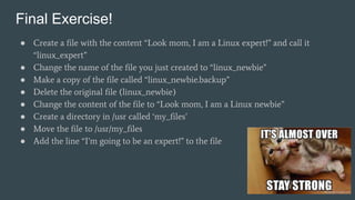 Final Exercise!
● Create a file with the content “Look mom, I am a Linux expert!” and call it
“linux_expert”
● Change the name of the file you just created to “linux_newbie”
● Make a copy of the file called “linux_newbie.backup”
● Delete the original file (linux_newbie)
● Change the content of the file to “Look mom, I am a Linux newbie”
● Create a directory in /usr called ‘my_files’
● Move the file to /usr/my_files
● Add the line “I’m going to be an expert!” to the file
 