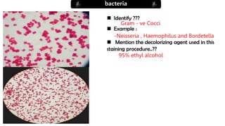 practical micro.pdf for health and medicine stidents | PPT
