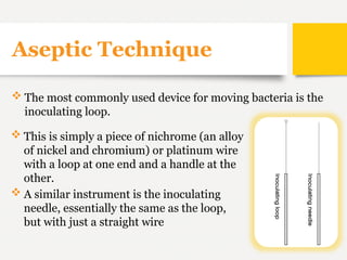Practical Microbiology.food microbiology | PPTX