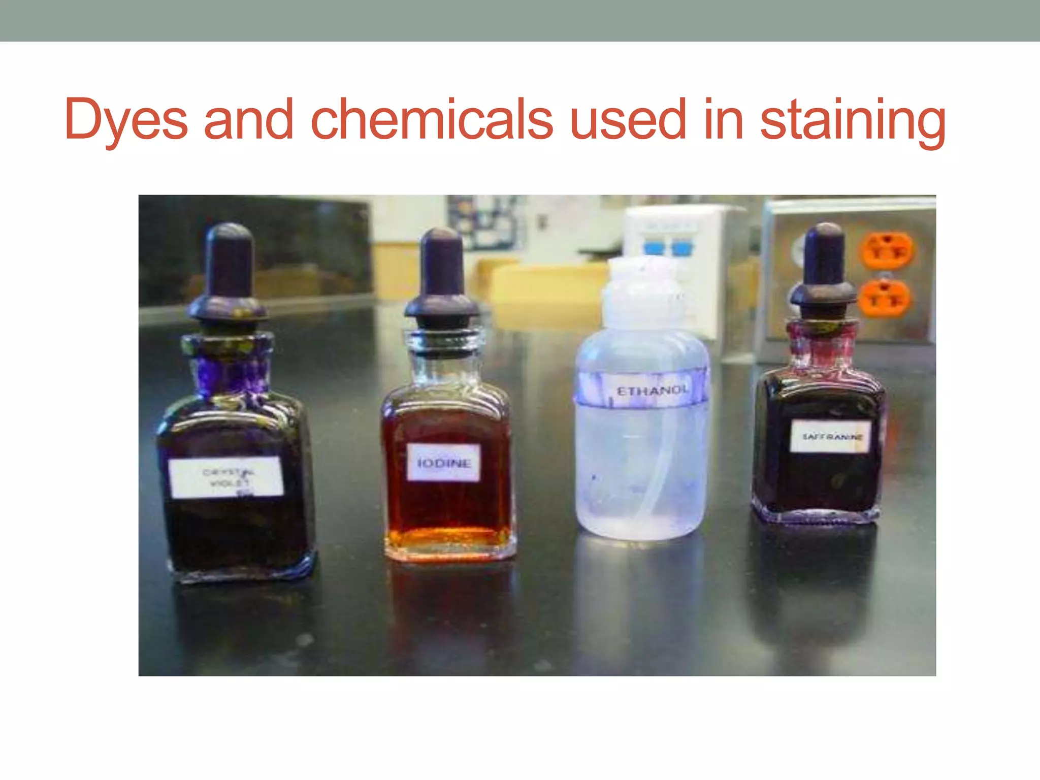 Dyes and chemicals used in staining