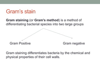 Gram’s stain
Gram staining (or Gram's method) is a method of
differentiating bacterial species into two large groups
Gram Positive Gram negative
Gram staining differentiates bacteria by the chemical and
physical properties of their cell walls.
 