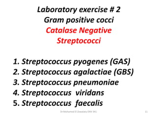 Laboratory exercise # 2
Gram positive cocci
Catalase Negative
Streptococci
1. Streptococcus pyogenes (GAS)
2. Streptococcus agalactiae (GBS)
3. Streptococcus pneumoniae
4. Streptococcus viridans
5. Streptococcus faecalis
Dr.Mohamed El Zowalaty-ENV 341 11
 