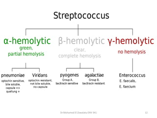 Dr.Mohamed El Zowalaty-ENV 341 12
 