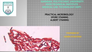 PRACTICAL MICROBIOLOGY
SPORE STAINING
ALBERT STAINING
PREPARED BY
HEMIN M ROSTAM
GARMIAN POLYTECHNIC UNIVERSITY
KIFRI TECHNICAL INSTITUTE
MEDICAL LAB. TECHNOLOGY DEPT.
 
