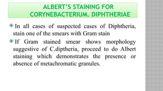 ALBERT’S STAINING FOR
CORYNEBACTERIUM. DIPHTHERIAE
 In all cases of suspected cases of Diphtheria,
stain one of the smears with Gram stain
 If Gram stained smear shows morphology
suggestive of C.diptheria, proceed to do Albert
staining which demonstrates the presence or
absence of metachromatic granules.
 