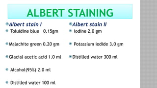 Albert stain I
 Toluidine blue 0.15gm
 Malachite green 0.20 gm
 Glacial acetic acid 1.0 ml
 Alcohol(95%) 2.0 ml
 Distilled water 100 ml
Albert stain II
 Iodine 2.0 gm
 Potassium iodide 3.0 gm
 Distilled water 300 ml
ALBERT STAINING
 