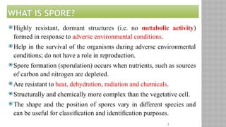 2
WHAT IS SPORE?
 Highly resistant, dormant structures (i.e. no metabolic activity)
formed in response to adverse environmental conditions.
 Help in the survival of the organisms during adverse environmental
conditions; do not have a role in reproduction.
 Spore formation (sporulation) occurs when nutrients, such as sources
of carbon and nitrogen are depleted.
 Are resistant to heat, dehydration, radiation and chemicals.
 Structurally and chemically more complex than the vegetative cell.
 The shape and the position of spores vary in different species and
can be useful for classification and identification purposes.
 