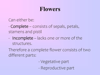 Practical no.2 REPRODUCTIVE PARTS OF AFLOWER.ppt