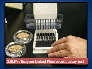 Elfa Testing Methods of detection and identification of seed borne pathogens.pptx