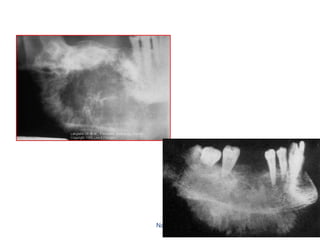 Naglaa S. El Kilani
126
 