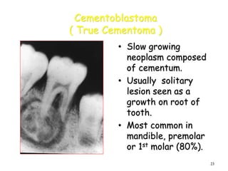 23
Cementoblastoma
( True Cementoma )
• Slow growing
neoplasm composed
of cementum.
• Usually solitary
lesion seen as a
growth on root of
tooth.
• Most common in
mandible, premolar
or 1st molar (80%).
 