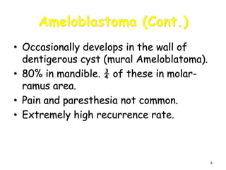 6
Ameloblastoma (Cont.)
• Occasionally develops in the wall of
dentigerous cyst (mural Ameloblatoma).
• 80% in mandible. ¾ of these in molar-
ramus area.
• Pain and paresthesia not common.
• Extremely high recurrence rate.
 