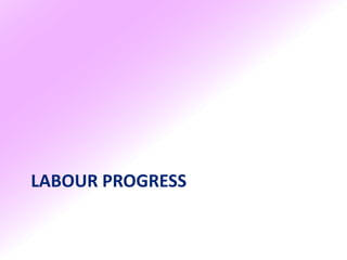 LABOUR PROGRESS
 