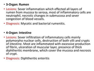 Practical pathology | PPTX