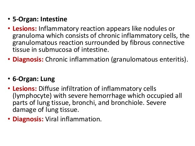 pathological condition research pathological condition research