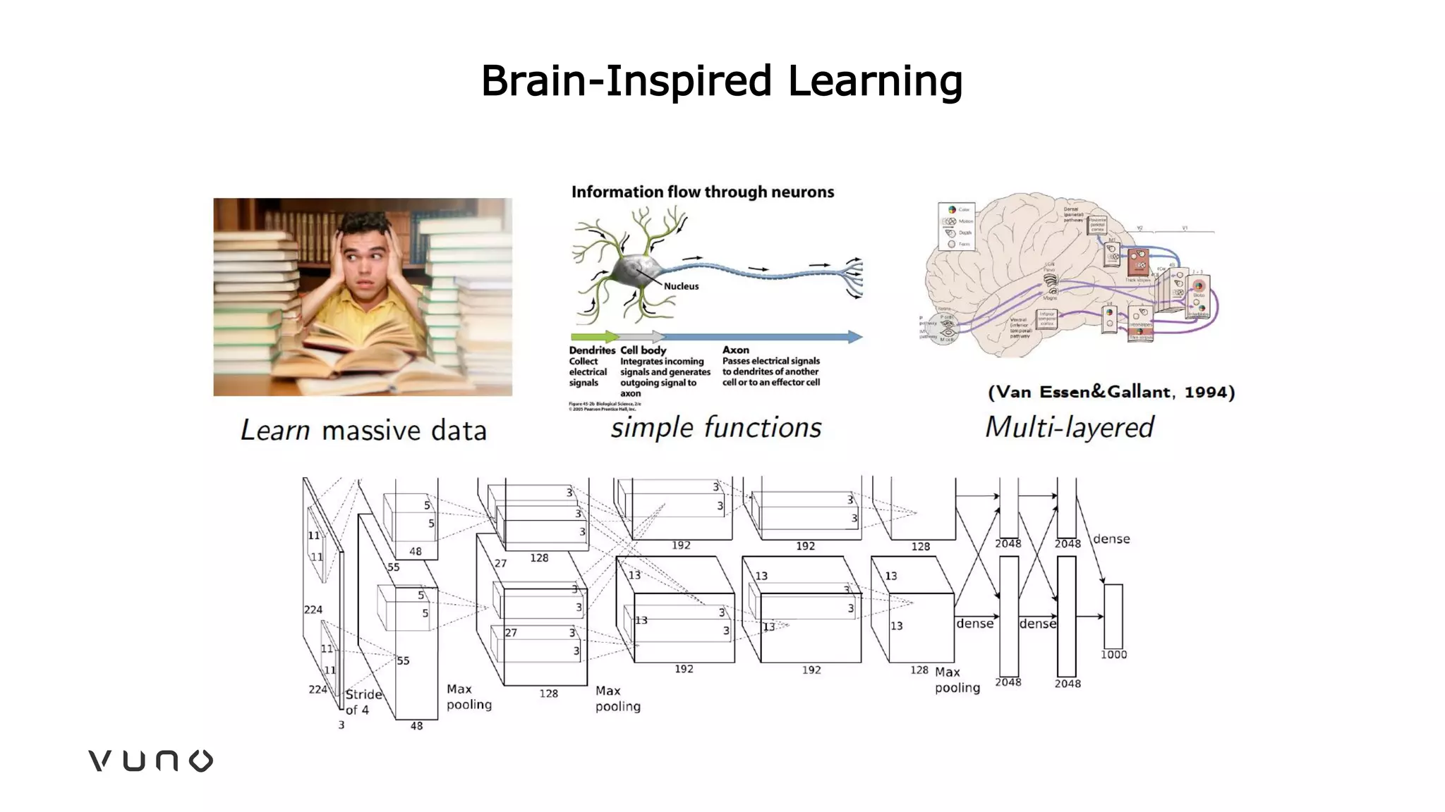 Brain-Inspired Learning
 