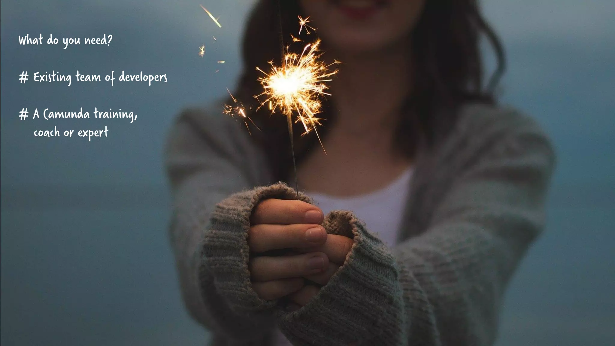 What do you need?
# Existing team of developers
# A Camunda training,
coach or expert
 